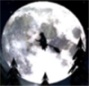 deepzero's Avatar